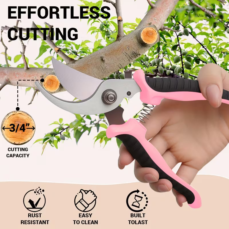 3pcs Garden Pruning Scissors, Stainless Steel Garden Scissors, Orchard & Fruit Picking Scissors
