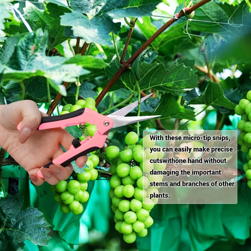 3pcs Garden Pruning Scissors, Stainless Steel Garden Scissors, Orchard & Fruit Picking Scissors