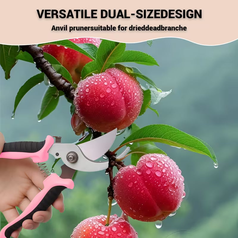 3pcs Garden Pruning Scissors, Stainless Steel Garden Scissors, Orchard & Fruit Picking Scissors