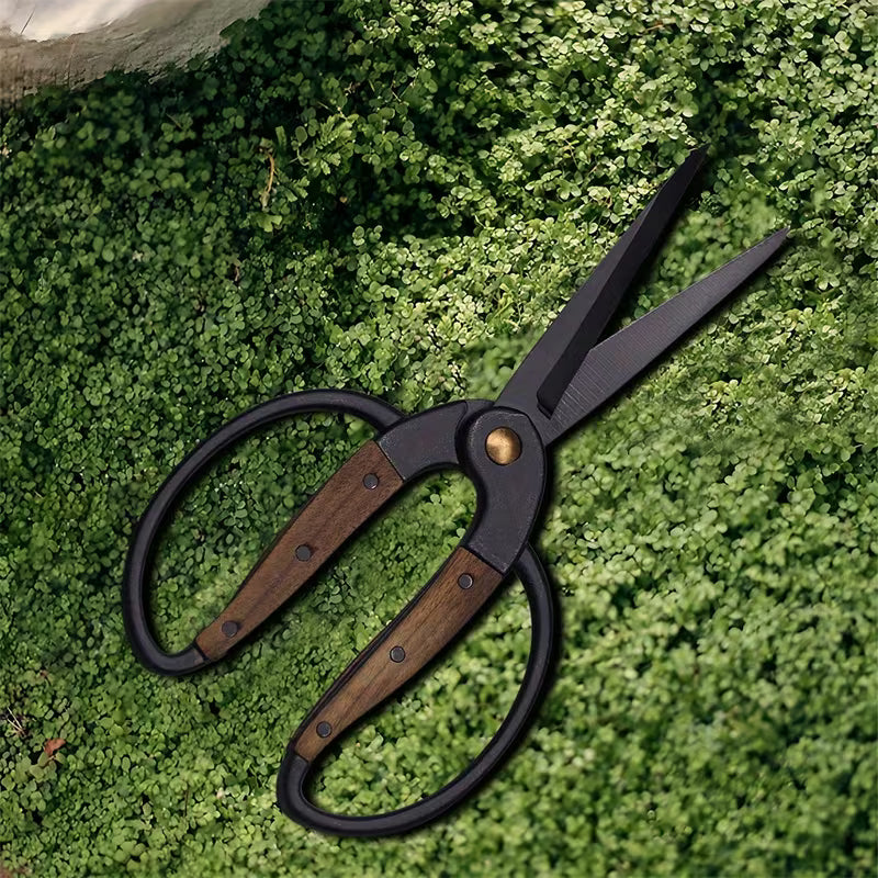 Garden Shears for Cutting Plants, Branches & Flowers, Pruning Fruit Trees, Floral Arranging & Bonsai Gardening Tool