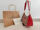 Model CY694 Teri Shoulder In Signature Canvas With Cherry Print CY694